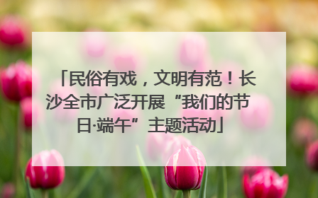 民俗有戏，文明有范！长沙全市广泛开展“我们的节日·端午”主题活动