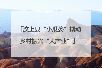 汶上县“小瓜蒌”撬动乡村振兴“大产业”