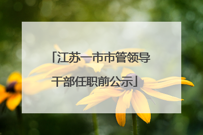江苏一市市管领导干部任职前公示