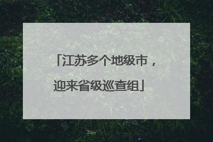 江苏多个地级市，迎来省级巡查组