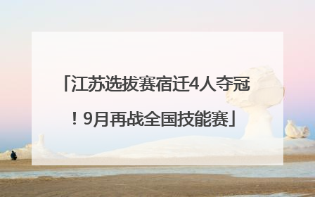 江苏选拔赛宿迁4人夺冠！9月再战全国技能赛