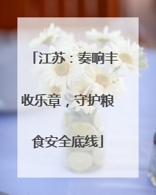 江苏：奏响丰收乐章，守护粮食安全底线
