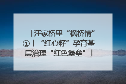 汪家桥里“枫桥情”①丨“红心籽”孕育基层治理“红色堡垒”