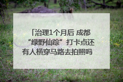 治理1个月后 成都“绿野仙踪”打卡点还有人横穿马路去拍照吗？｜民情瞭望