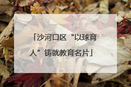 沙河口区“以球育人”铸就教育名片