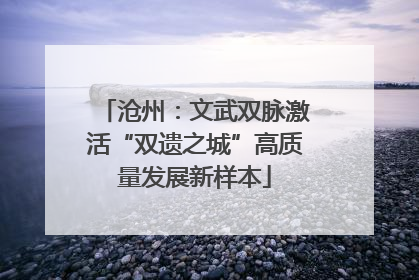沧州：文武双脉激活“双遗之城”高质量发展新样本