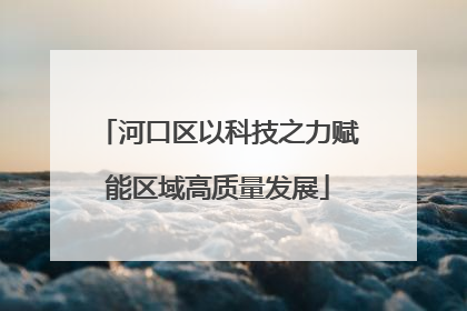 河口区以科技之力赋能区域高质量发展