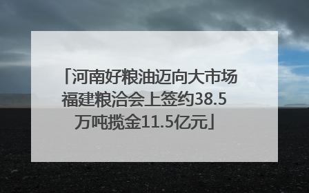 河南好粮油迈向大市场 福建粮洽会上签约38.5万吨揽金11.5亿元