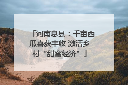 河南息县：千亩西瓜喜获丰收 激活乡村“甜蜜经济”