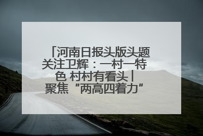 河南日报头版头题关注卫辉：一村一特色 村村有看头 ︳聚焦“两高四着力”·一“县”观察