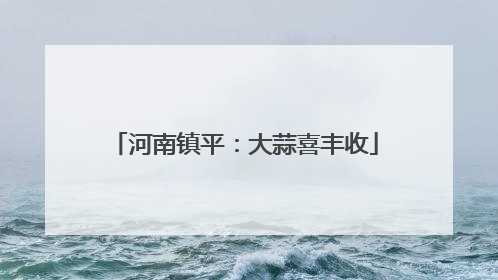 河南镇平：大蒜喜丰收