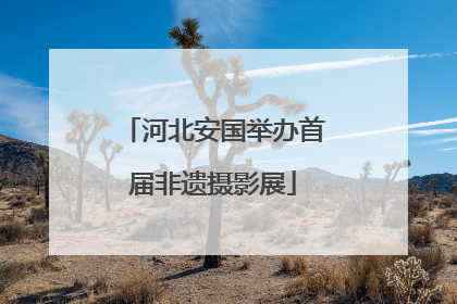 河北安国举办首届非遗摄影展