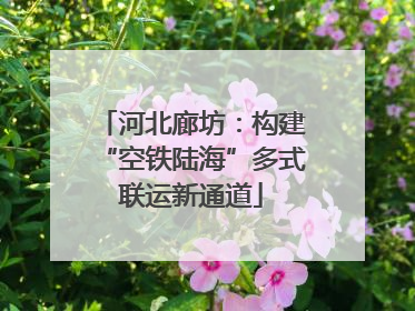 河北廊坊：构建“空铁陆海”多式联运新通道
