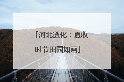 河北遵化：夏收时节田园如画