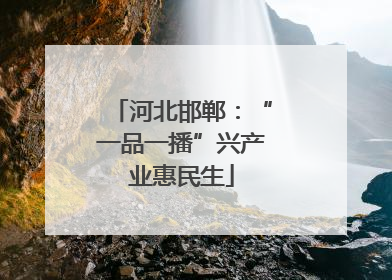 河北邯郸：“一品一播”兴产业惠民生