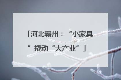 河北霸州：“小家具”撬动“大产业”