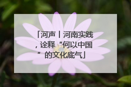 河声丨河南实践，诠释“何以中国”的文化底气