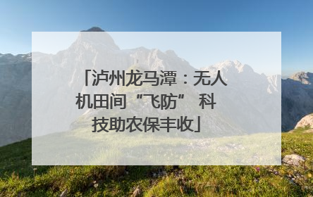泸州龙马潭：无人机田间“飞防” 科技助农保丰收