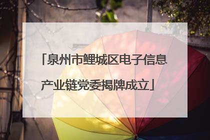 泉州市鲤城区电子信息产业链党委揭牌成立