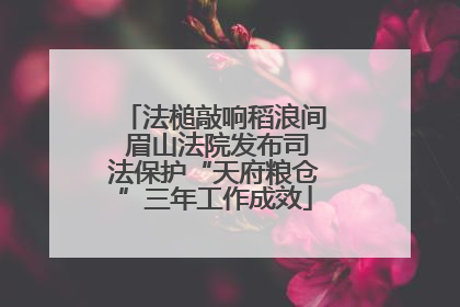 法槌敲响稻浪间 眉山法院发布司法保护“天府粮仓”三年工作成效