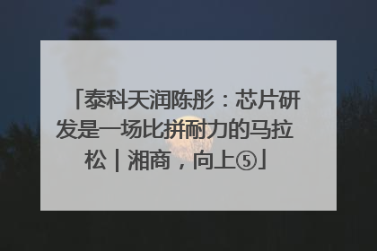 泰科天润陈彤：芯片研发是一场比拼耐力的马拉松｜湘商，向上⑤