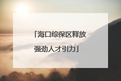海口综保区释放强劲人才引力
