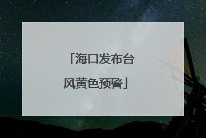 海口发布台风黄色预警