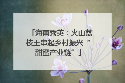 海南秀英：火山荔枝王串起乡村振兴“甜蜜产业链”
