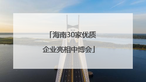 海南30家优质企业亮相中博会