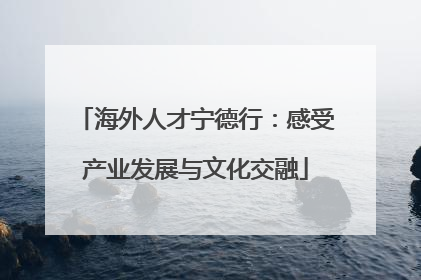 海外人才宁德行：感受产业发展与文化交融