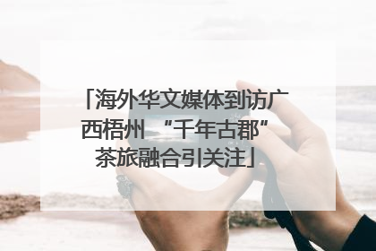 海外华文媒体到访广西梧州 “千年古郡”茶旅融合引关注