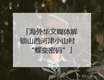 海外华文媒体解锁山西河津小山村“蝶变密码”