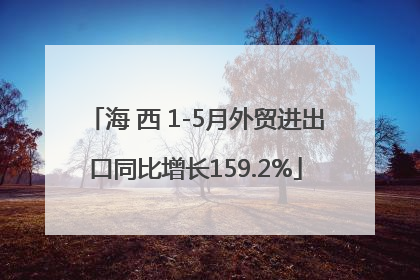 海 西 1-5月外贸进出口同比增长159.2%