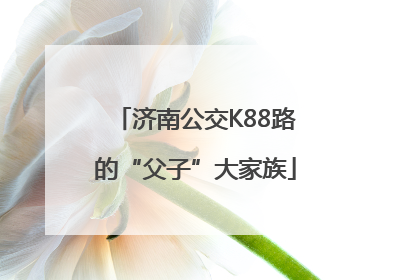 济南公交K88路的“父子”大家族