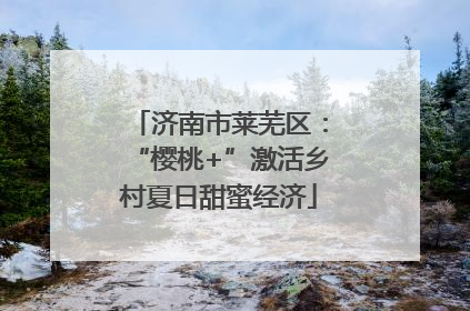 济南市莱芜区：“樱桃+”激活乡村夏日甜蜜经济