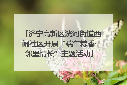 济宁高新区洸河街道西闸社区开展“端午粽香·邻里情长”主题活动