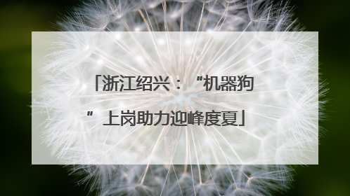 浙江绍兴：“机器狗”上岗助力迎峰度夏