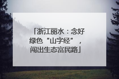 浙江丽水：念好绿色“山字经”，闯出生态富民路