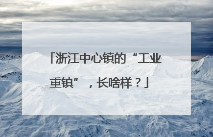 浙江中心镇的“工业重镇”，长啥样？