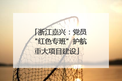 浙江嘉兴：党员“红色专班”护航重大项目建设