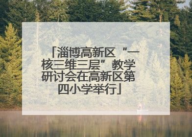 淄博高新区“一核三维三层”教学研讨会在高新区第四小学举行