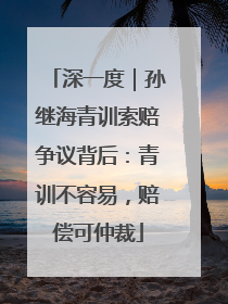 深一度｜孙继海青训索赔争议背后：青训不容易，赔偿可仲裁