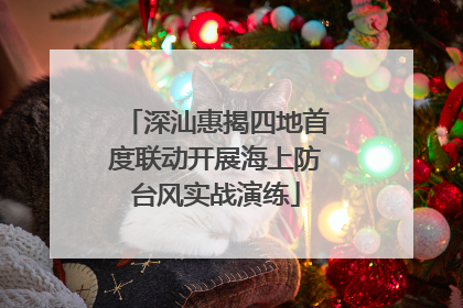 深汕惠揭四地首度联动开展海上防台风实战演练