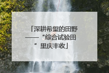 深耕希望的田野——“综合试验田”里庆丰收
