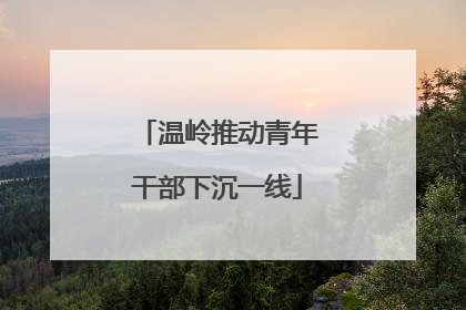 温岭推动青年干部下沉一线