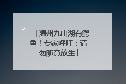 温州九山湖有鳄鱼！专家呼吁：请勿随意放生