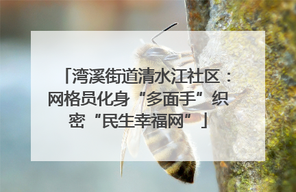 湾溪街道清水江社区：网格员化身“多面手”织密“民生幸福网”