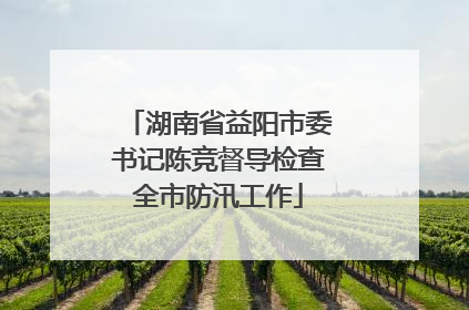 湖南省益阳市委书记陈竞督导检查全市防汛工作