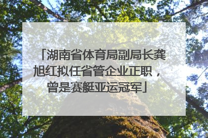湖南省体育局副局长龚旭红拟任省管企业正职，曾是赛艇亚运冠军