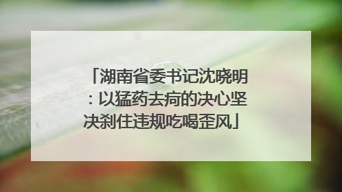 湖南省委书记沈晓明：以猛药去疴的决心坚决刹住违规吃喝歪风